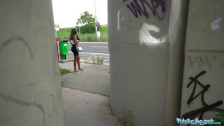 Public Agent - Csöcsös barna csajszika pénzért kupakol
