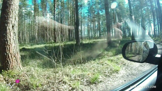 Fiatal barinő a kocsiban szexel