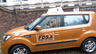 Fake Driving School - Louise Lee imádja a gigantikus kukit