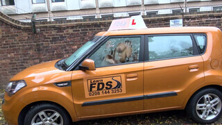 Fake Driving School gigászi brit csöcsök