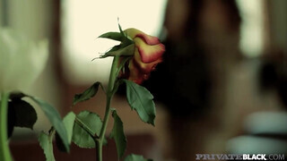 PrivateBlack - Angelica Heart valagába befér a csoki bájdorong